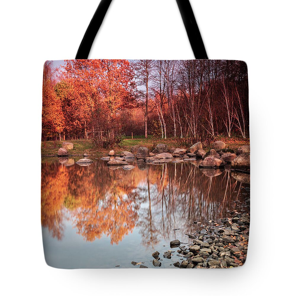 Rock Tote Bag featuring the photograph Colourful Forest Park by Sophie McAulay
