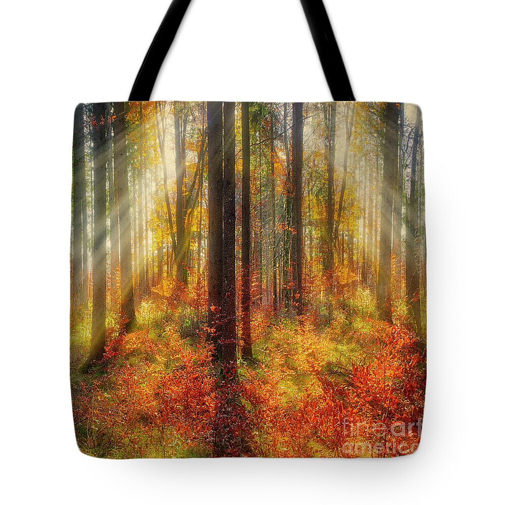 Nag005219 Tote Bag featuring the photograph Colours of Nature 02 by Edmund Nagele FRPS