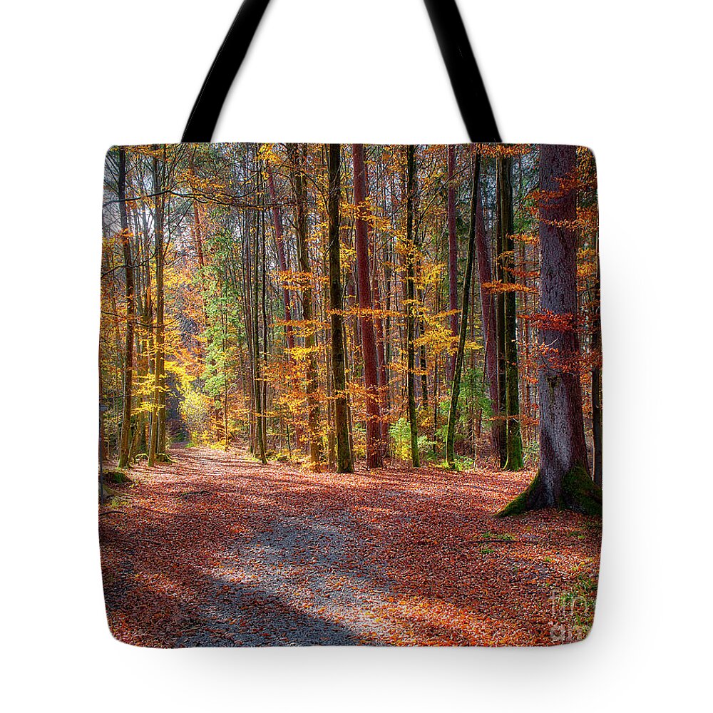 Nag005212 Tote Bag featuring the photograph Colours of Nature by Edmund Nagele FRPS