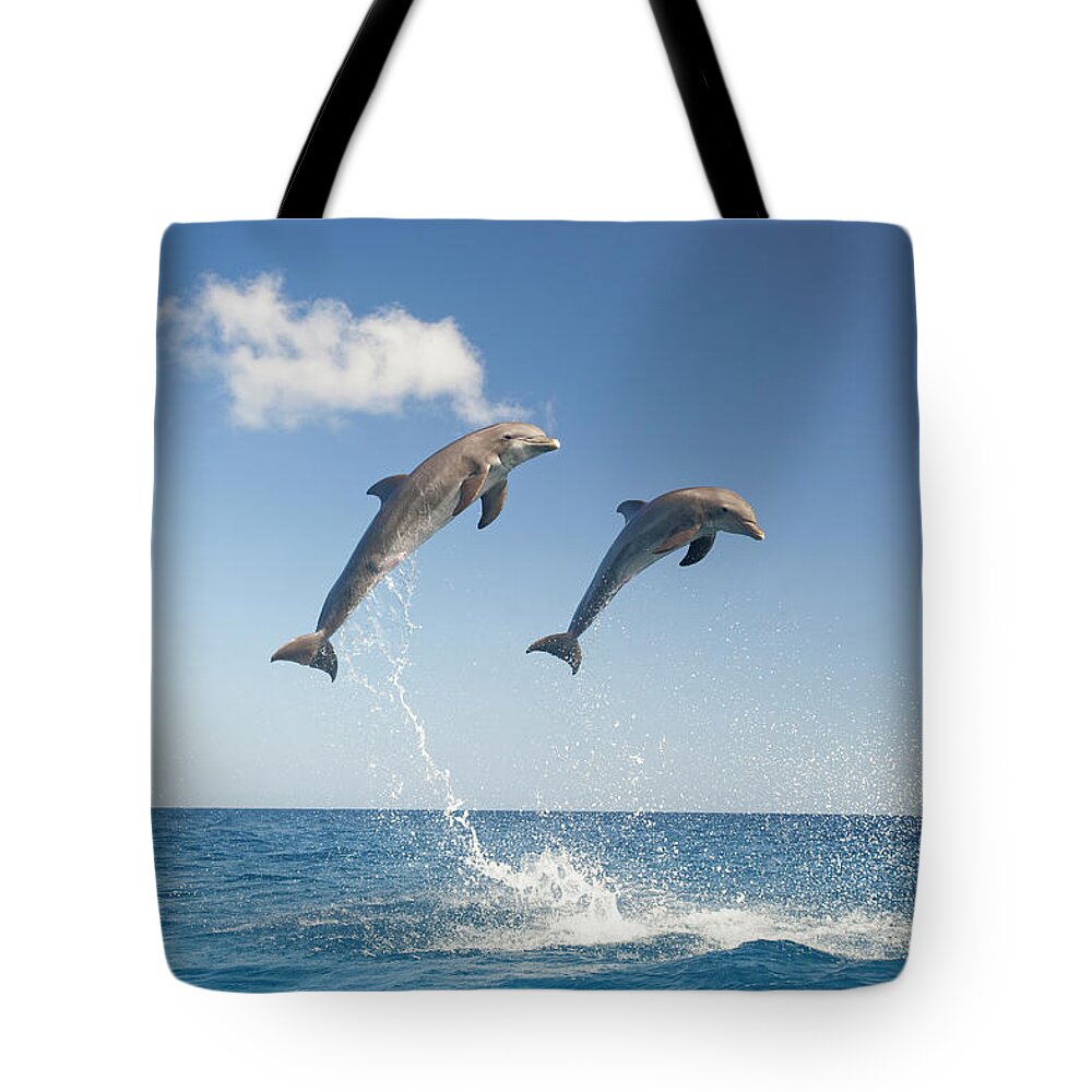 Aerodynamic Tote Bag featuring the photograph Common Bottlenose Dolphins Tursiops by Mike Hill