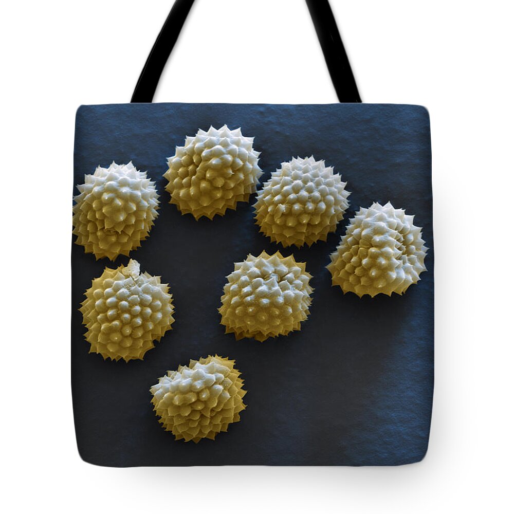 Allergen Tote Bag featuring the photograph Common Ragweed by Meckes/ottawa