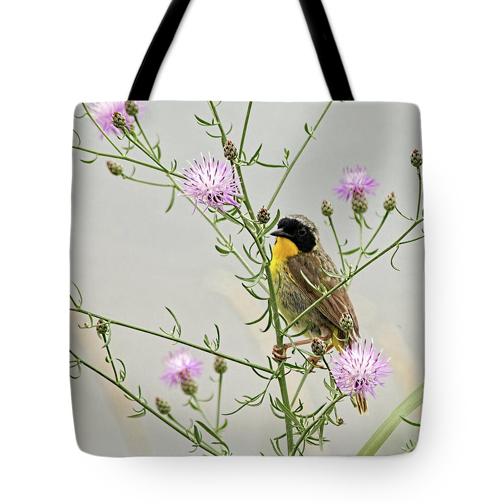 Common Yellowthroat Tote Bag featuring the photograph Common Yellowthroat by Kristia Adams
