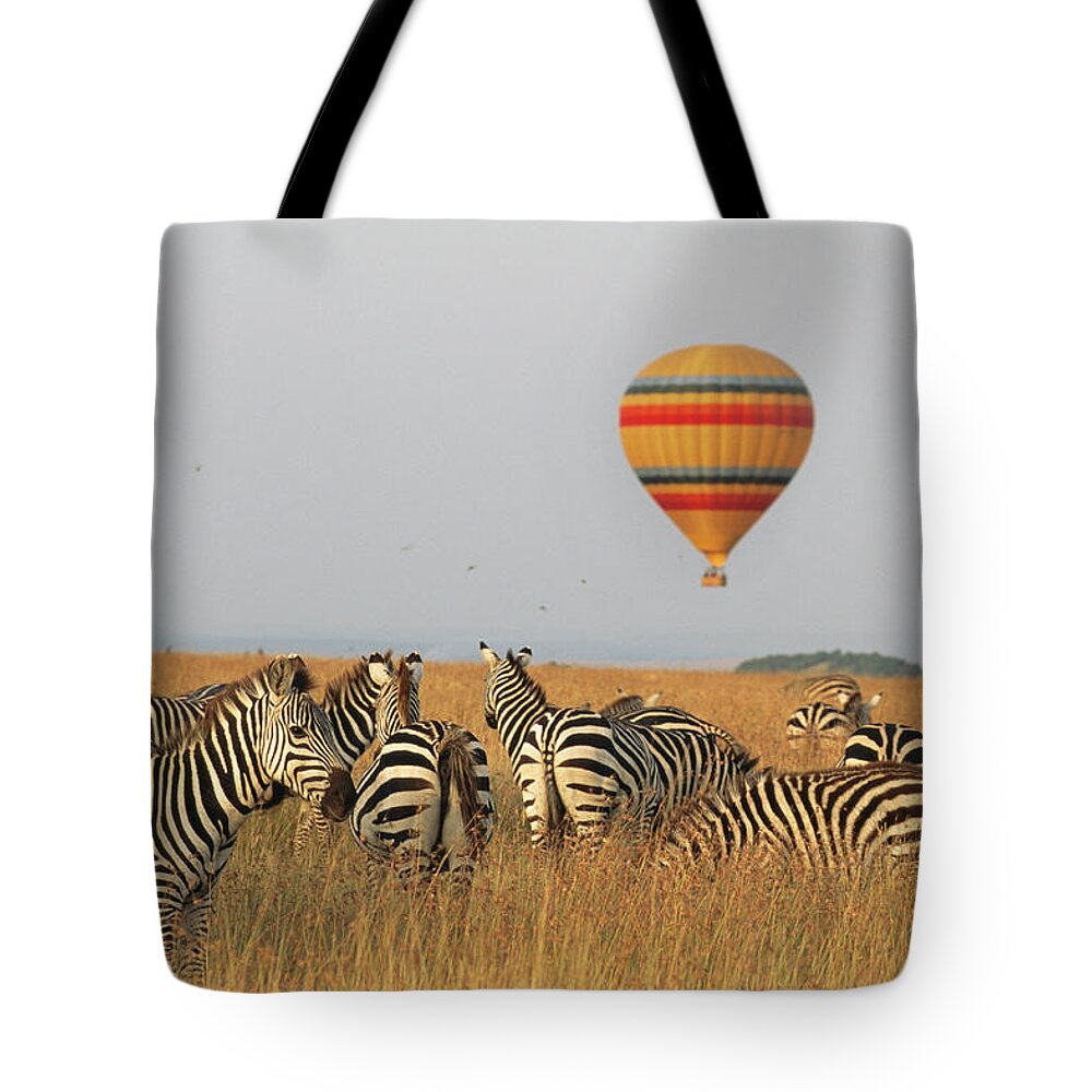 Plains Zebra Tote Bag featuring the photograph Common Zebras And Hot Air Balloon Safari by James Warwick
