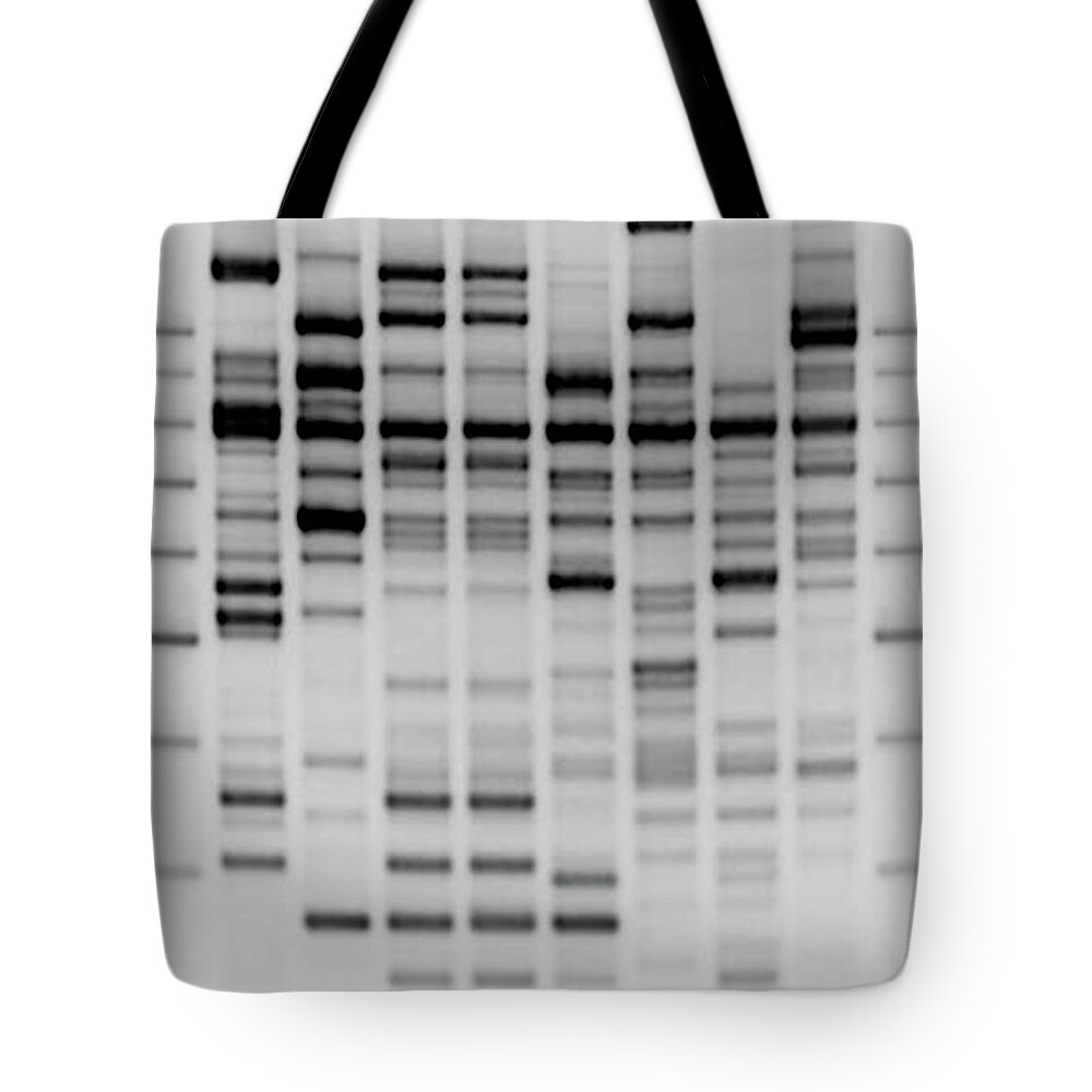 Biochemistry Tote Bag featuring the photograph Comparative Dna Analysis by Zmeel