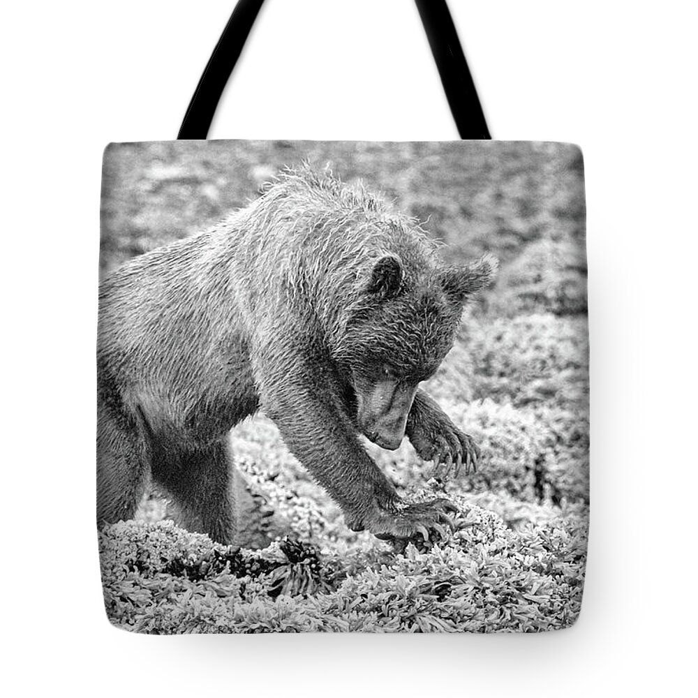 Bear Tote Bag featuring the photograph Concentrating Coastal Brown Bear in Monochrome by Mark Hunter