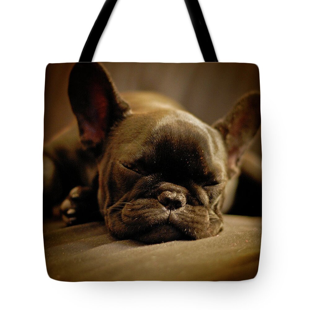 Pets Tote Bag featuring the photograph Conchita by Mascotas Y Varios