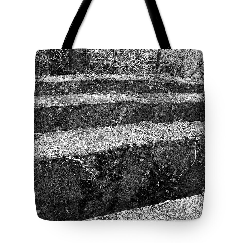 Concrete Tote Bag featuring the photograph Concrete Forest by Phil Perkins