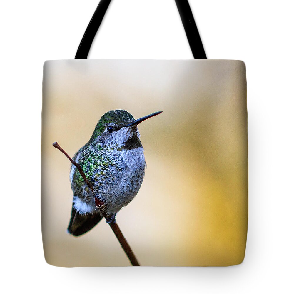 Animal Tote Bag featuring the photograph Contemplation by Briand Sanderson