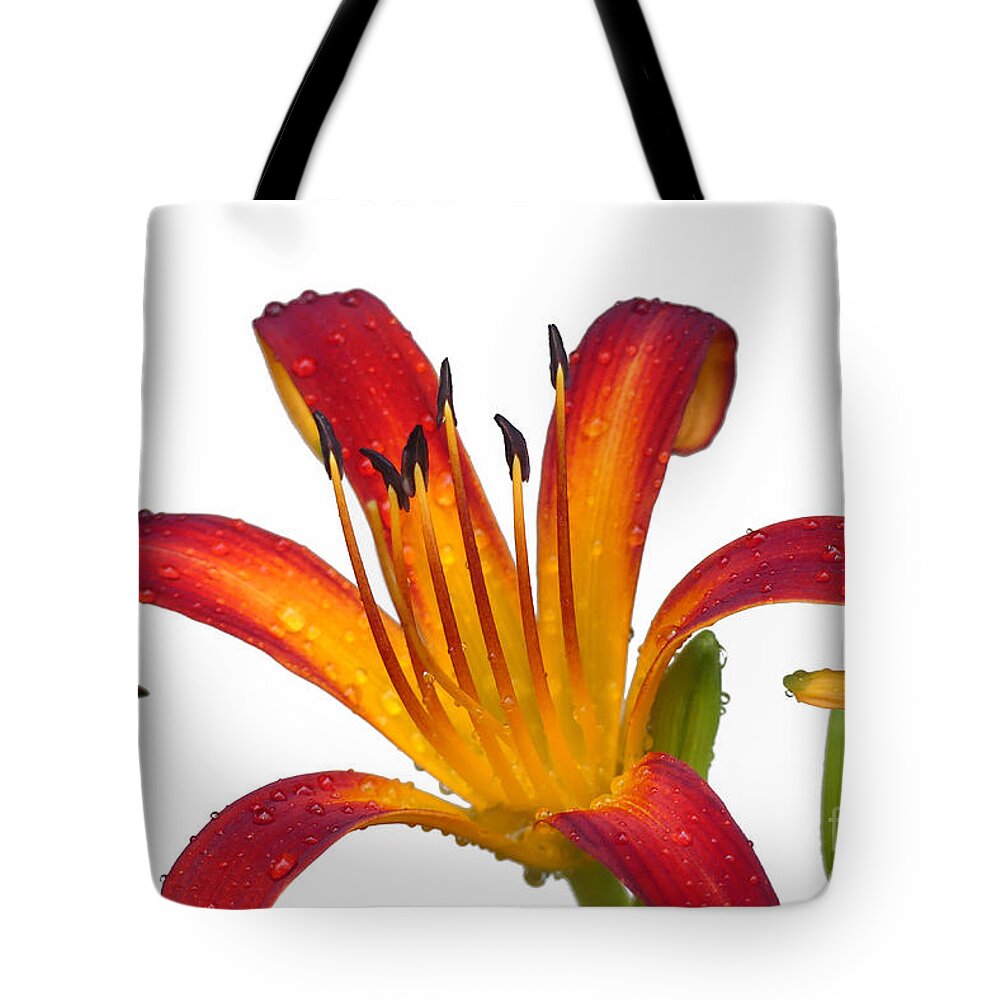 Lily Tote Bag featuring the photograph Contrasting Colors by Amy Dundon