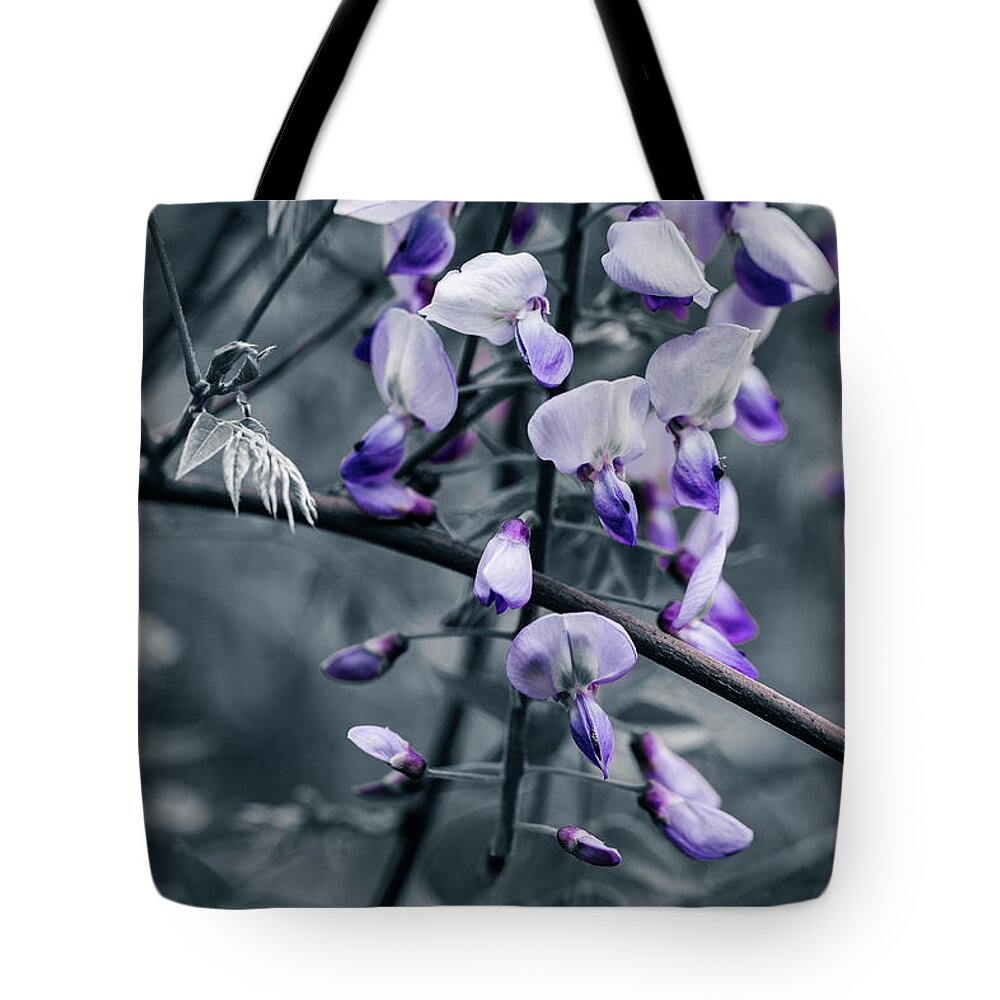 America Tote Bag featuring the photograph Cool Blue of Spring by ProPeak Photography