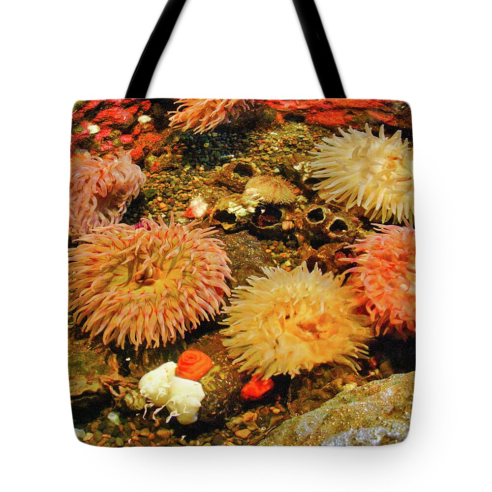 Aquariums Tote Bag featuring the photograph Coral at Seattle Aquarium by Segura Shaw Photography