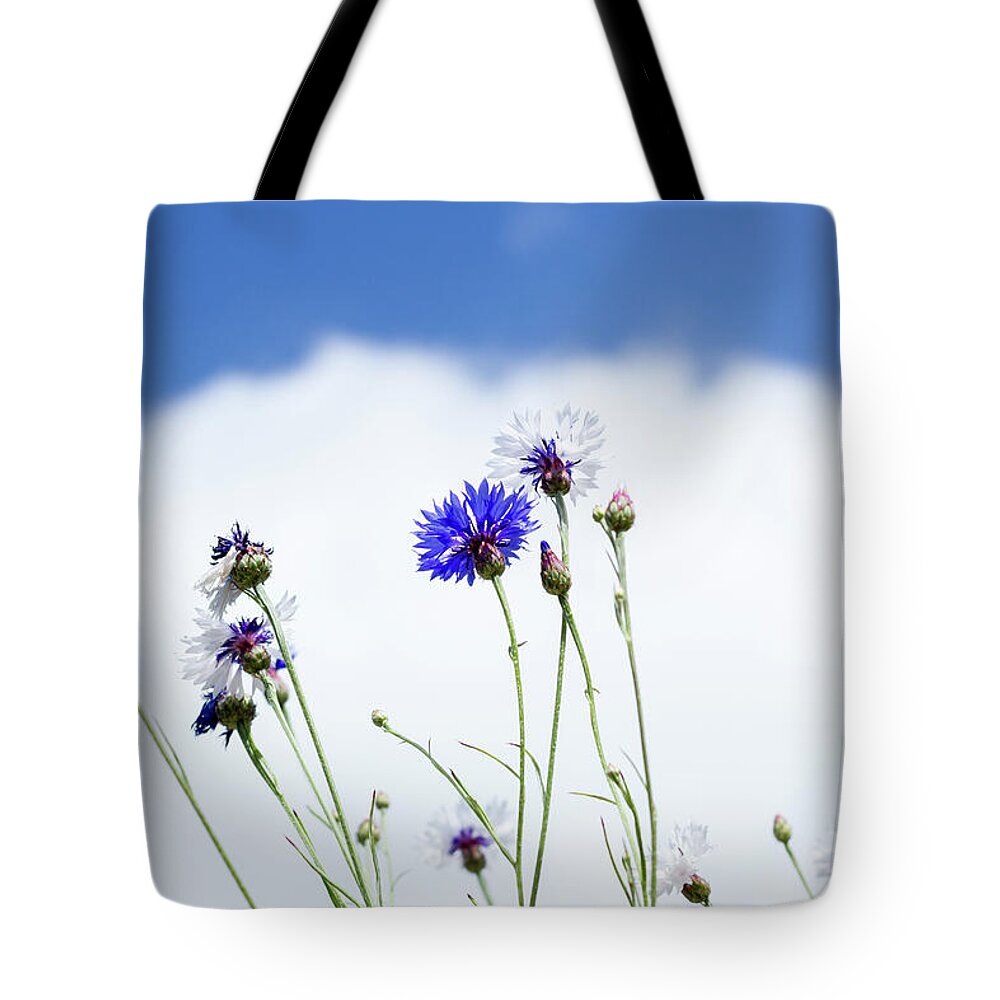 Floral Tote Bag featuring the photograph Cornflowers by Tanya C Smith