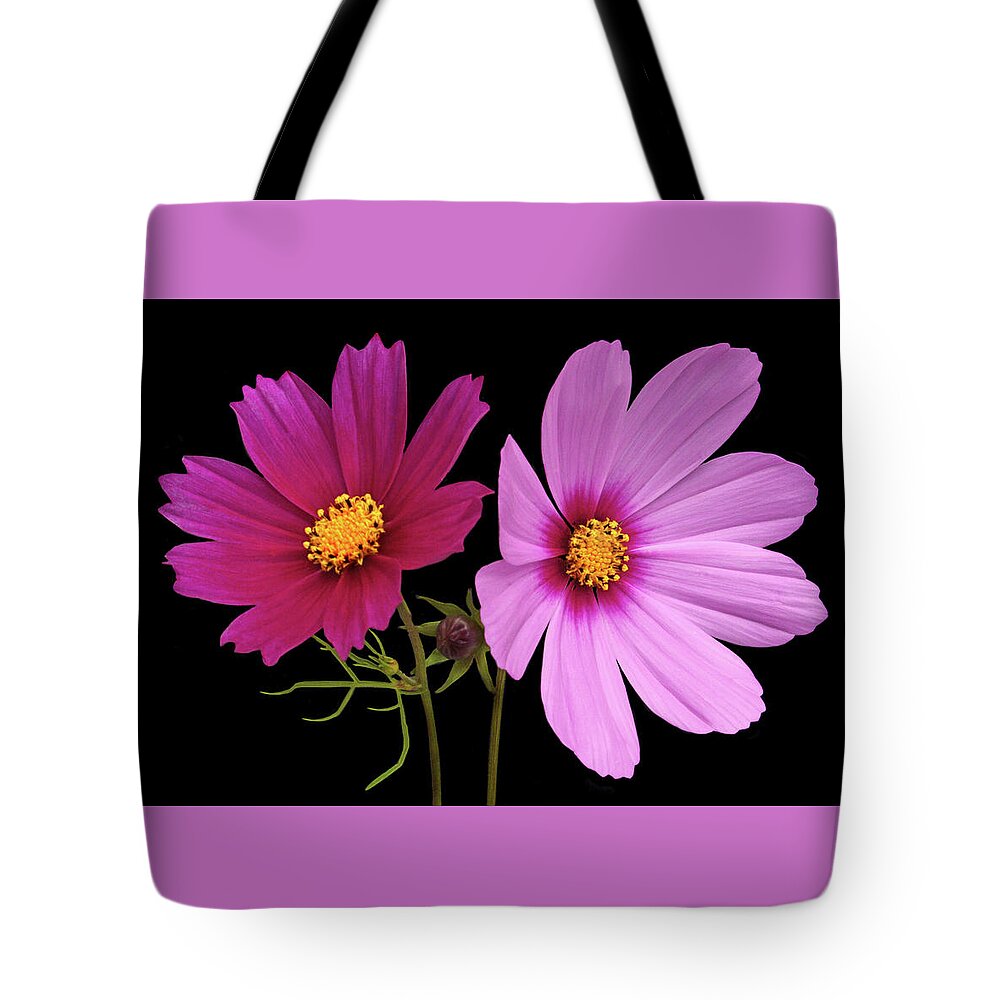 Cosmos Tote Bag featuring the photograph Cosmos Duet by Terence Davis