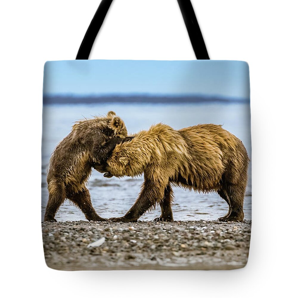 Bear Tote Bag featuring the photograph Coastal brown bears by Lyl Dil Creations