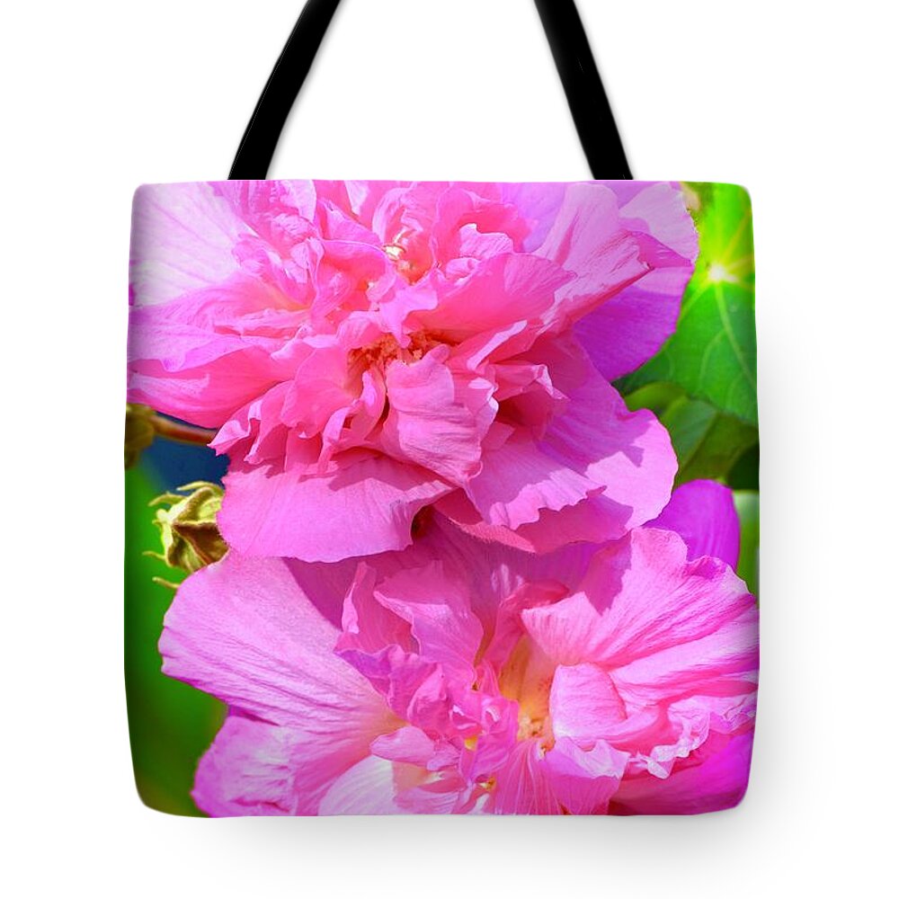 Prints By Debra Grace Tote Bag featuring the photograph Twins by Debra Grace Addison