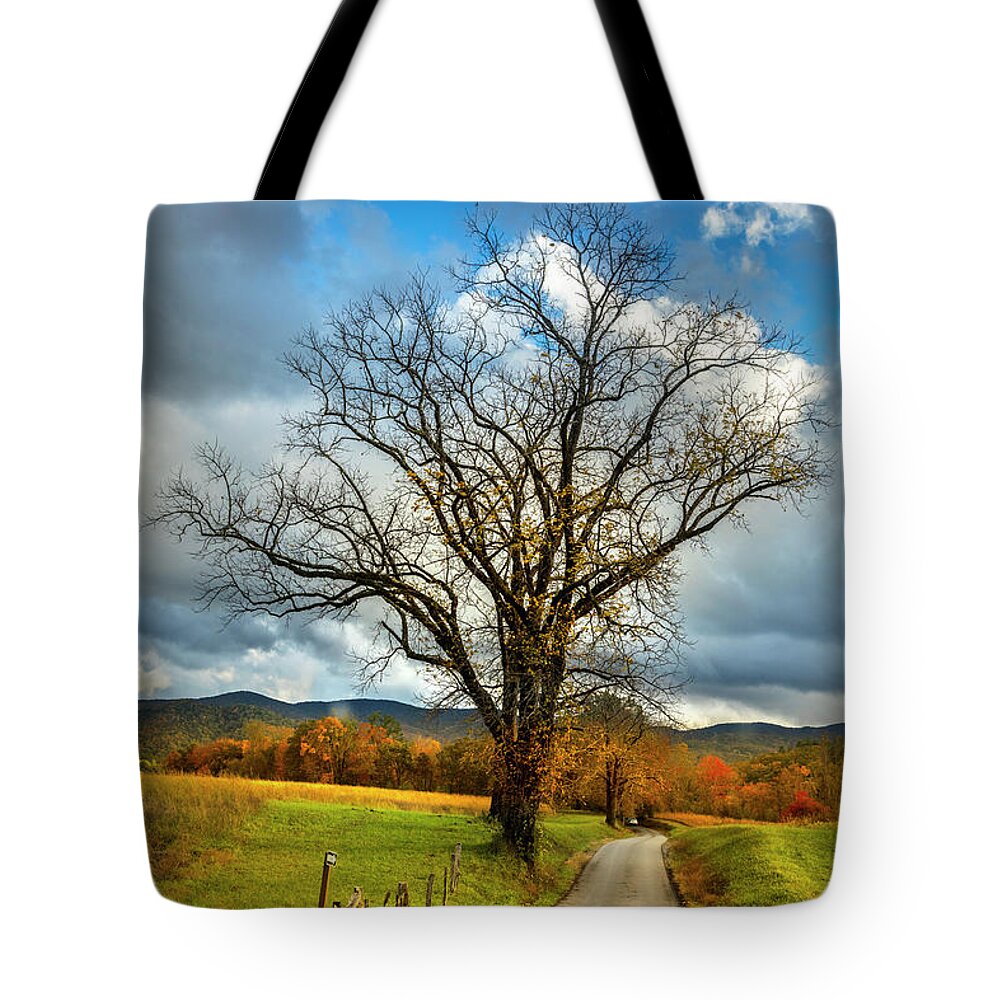 Appalachia Tote Bag featuring the photograph Country Road into Autumn by Debra and Dave Vanderlaan