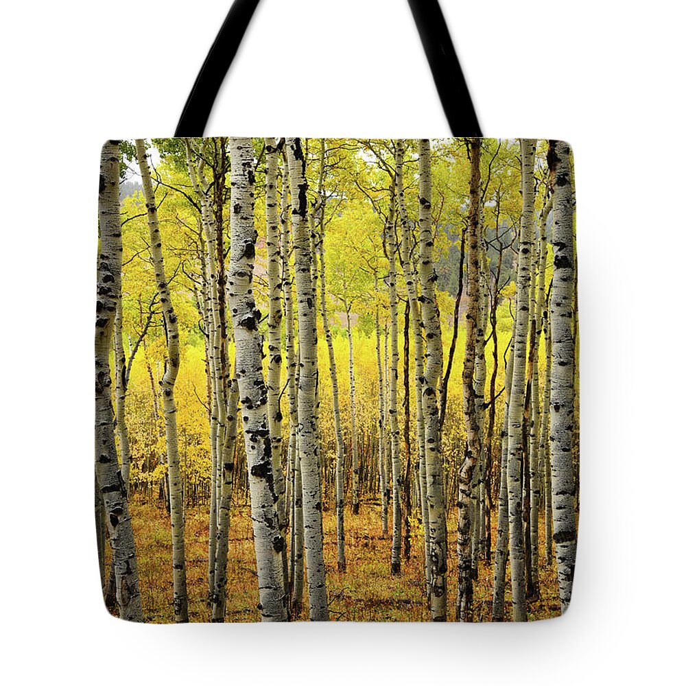 Ouray Tote Bag featuring the photograph County Road 5 Aspen Grove by Ray Mathis