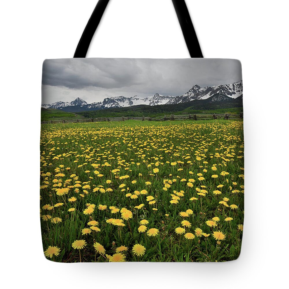 Ouray Tote Bag featuring the photograph County Road 58p Dandelions by Ray Mathis