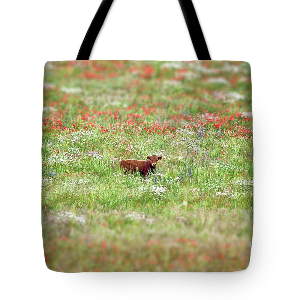 Cow Tote Bag featuring the photograph Cow in wild flower meadow by Simon Bratt