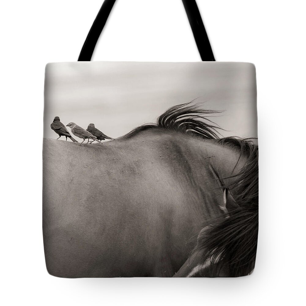  Tote Bag featuring the photograph Cowbirds on horseback by Dirk Johnson