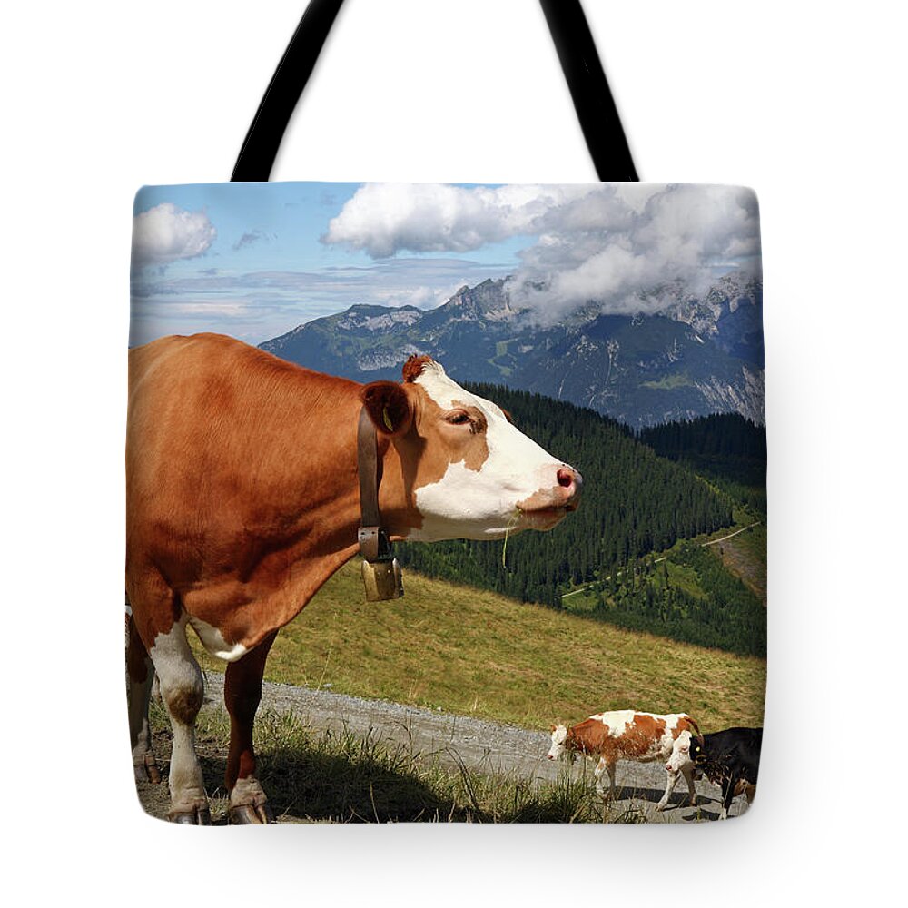 Scenics Tote Bag featuring the photograph Cows With Bells Walking In The Alps On by Jaap2
