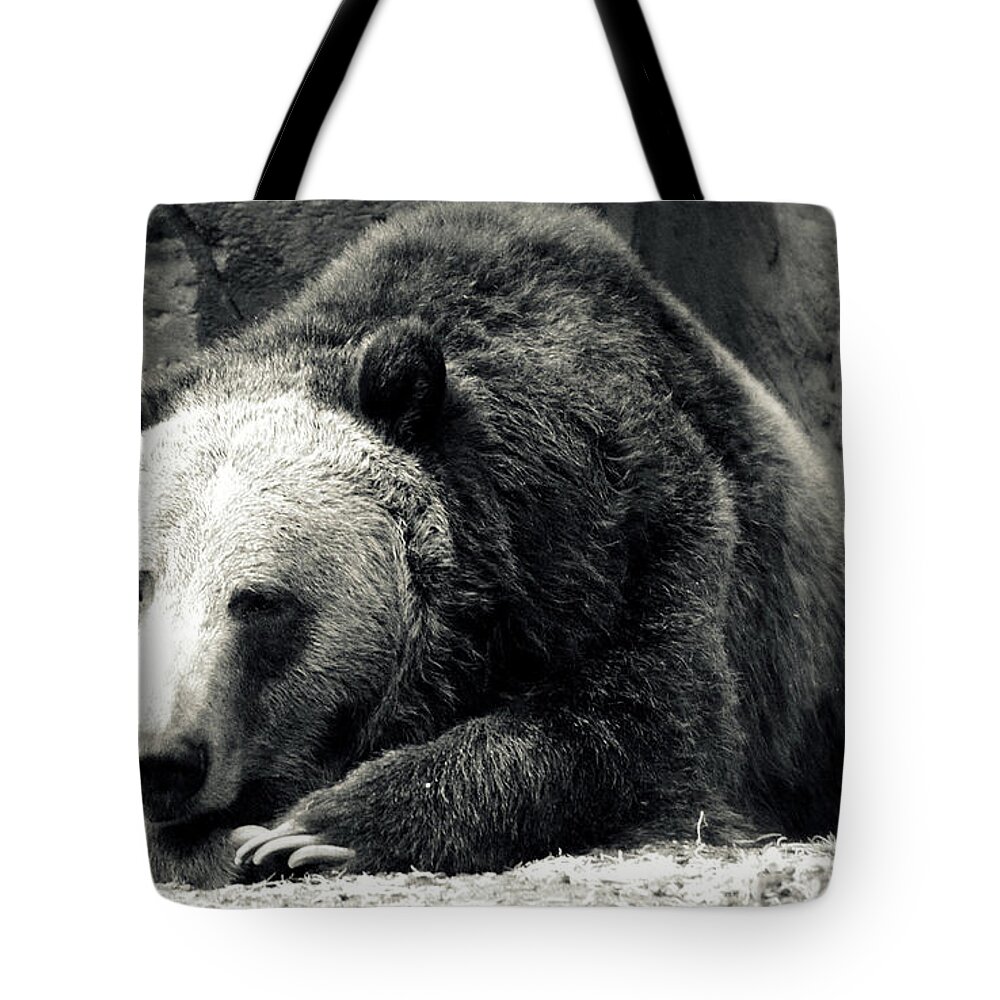 Bear Tote Bag featuring the photograph Cozy Yet Deadly - Grizzly Bear by Glenn McCarthy Art and Photography