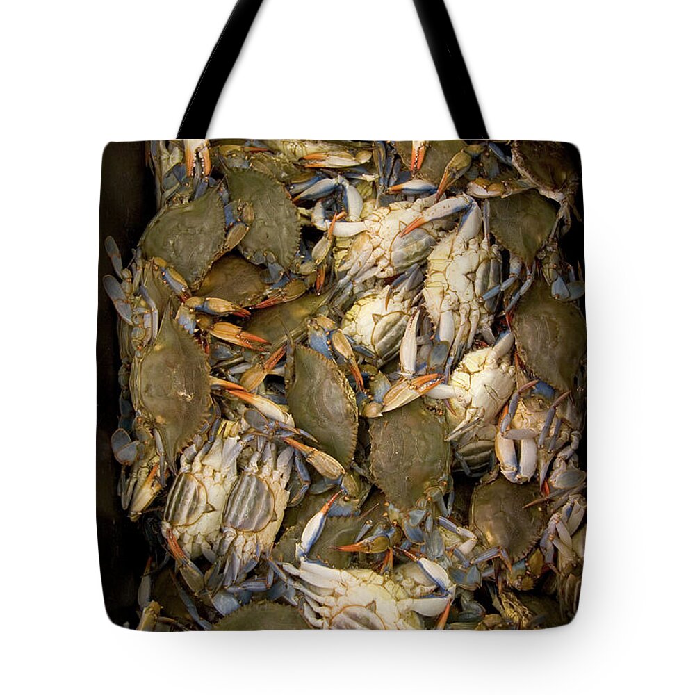 Animal Themes Tote Bag featuring the photograph Crabs In A Box by Thepurpledoor