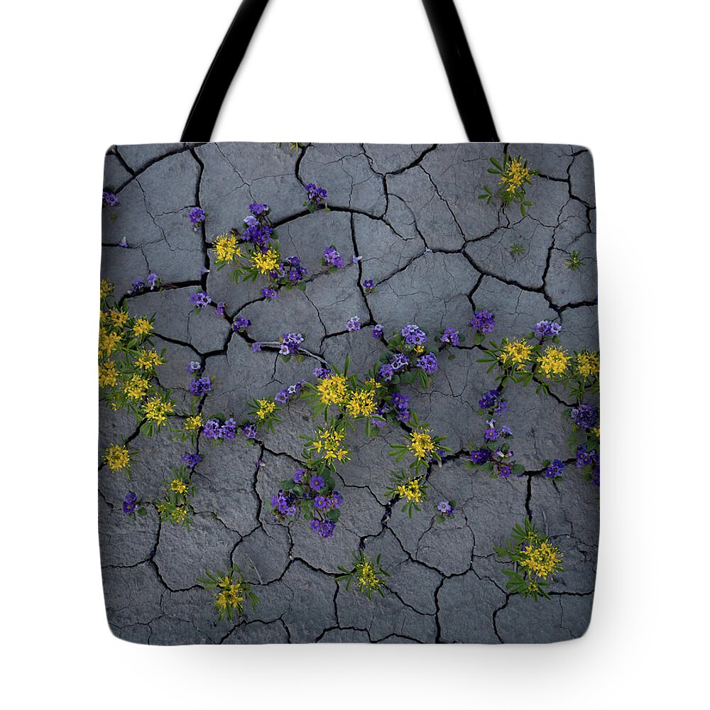 Utah Tote Bag featuring the photograph Cracked Blossoms by Emily Dickey