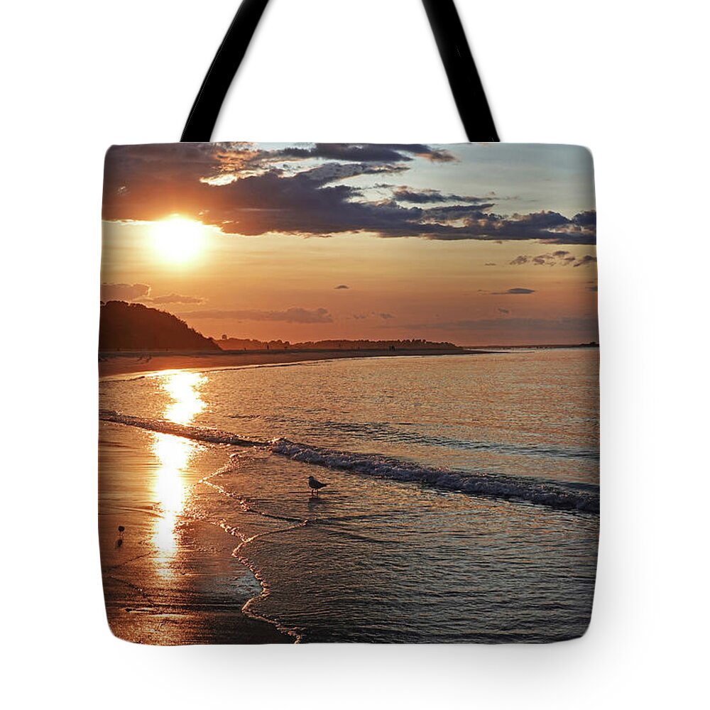 Ipswich Tote Bag featuring the photograph Crane Beach Sunset Ipswich MA Seagull by Toby McGuire