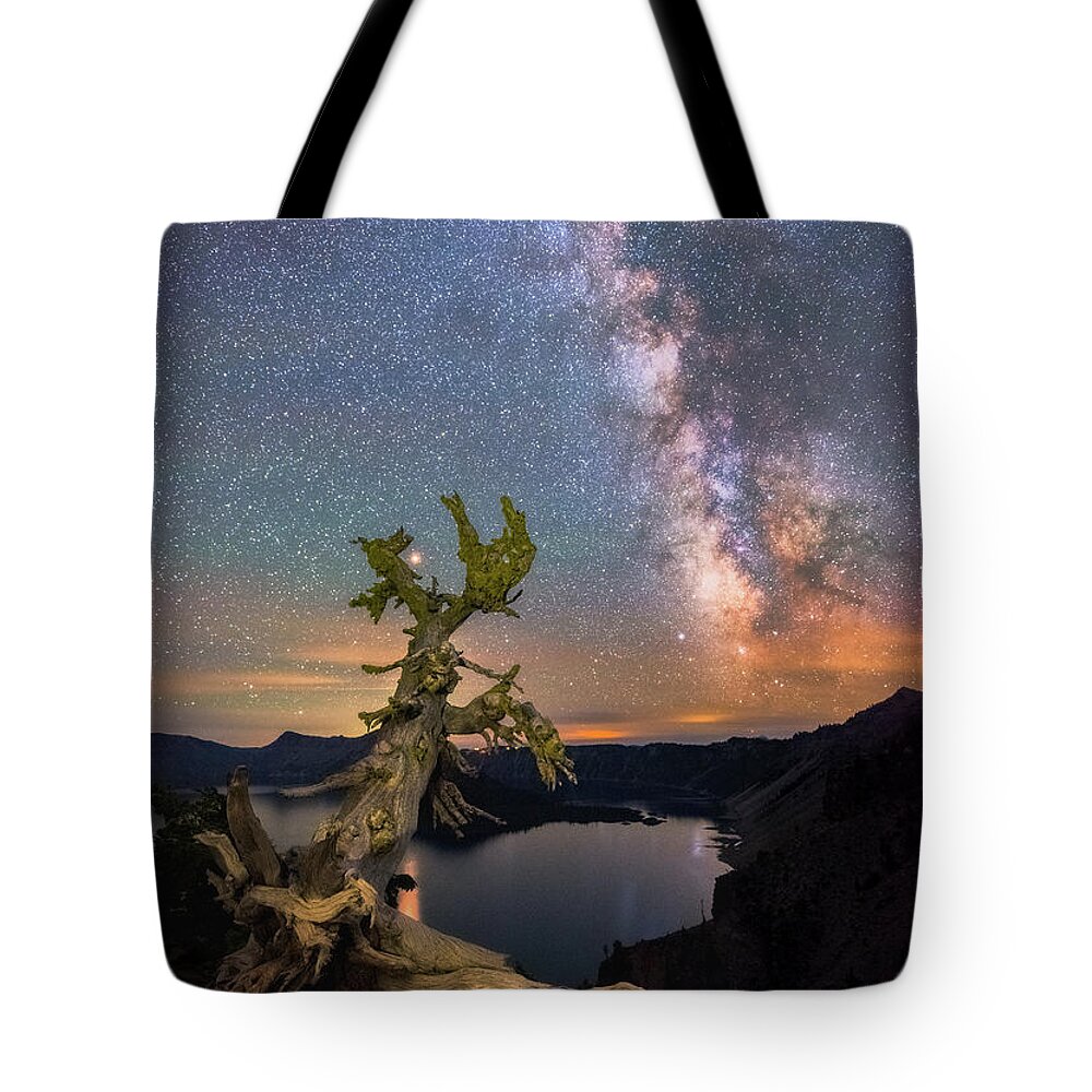 Crater Lake National Park Tote Bag featuring the photograph Crater Lake Twisty Tree by Darren White
