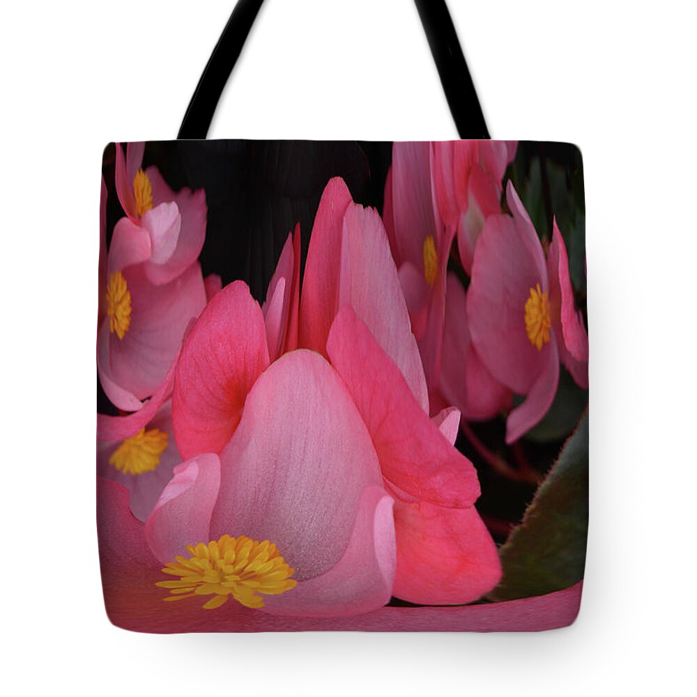 Begonia's Tote Bag featuring the photograph Creation of Begonia's by Terence Davis