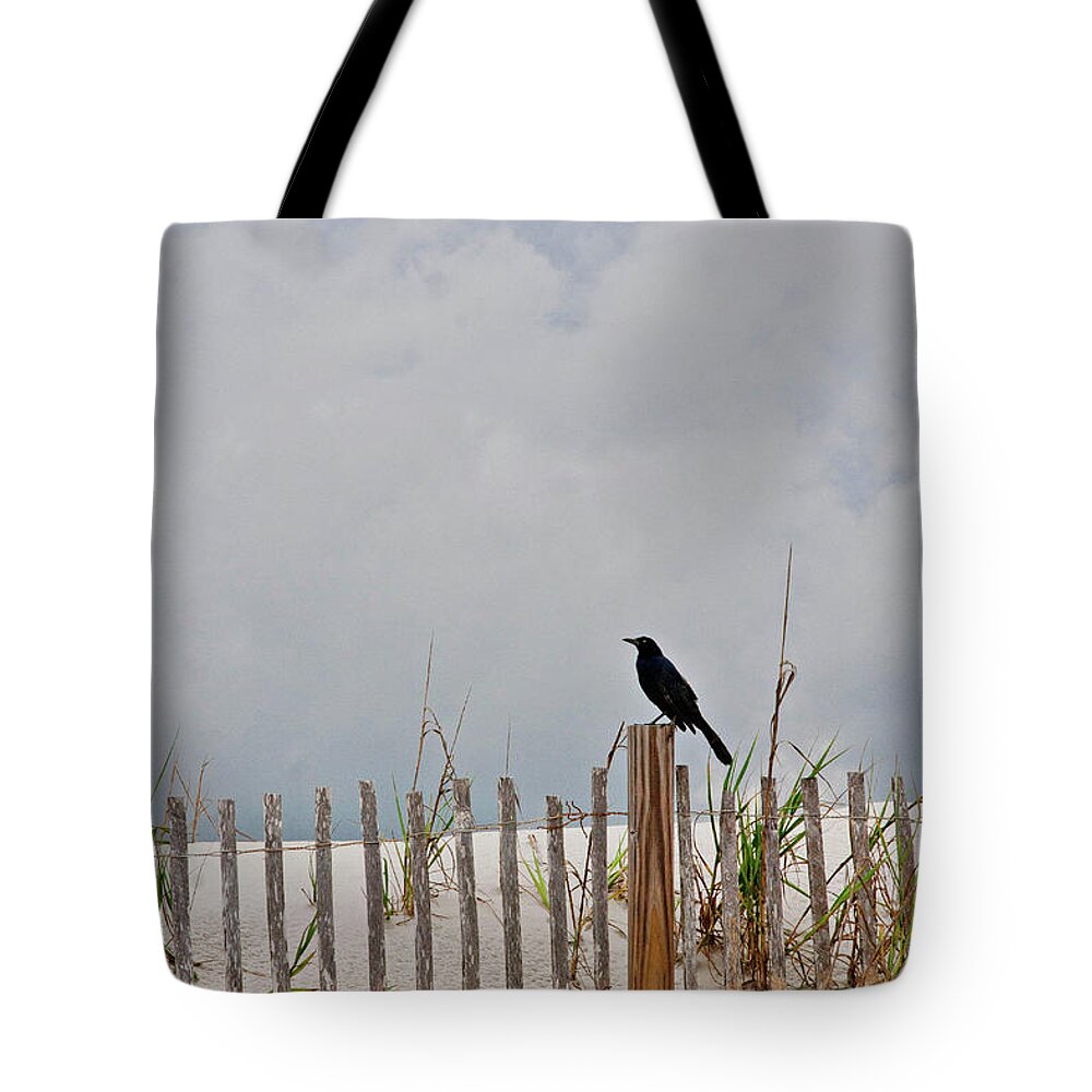 Sand Dune Tote Bag featuring the photograph Crow On Dune Fence by Kelley Nelson