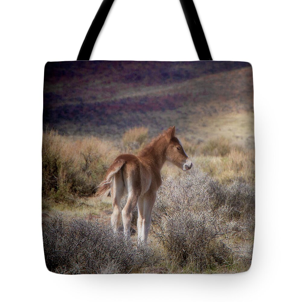 Nevada Tote Bag featuring the photograph Cute baby foal in the wild by Waterdancer