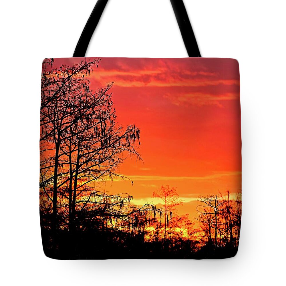 Swamp Tote Bag featuring the photograph Cypress Swamp Sunset 2 by Steve DaPonte