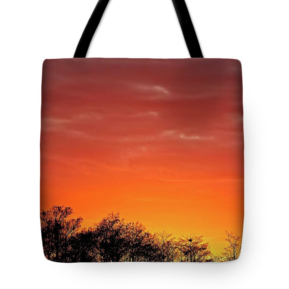 Swamp Tote Bag featuring the photograph Cypress Swamp Sunset 4 by Steve DaPonte