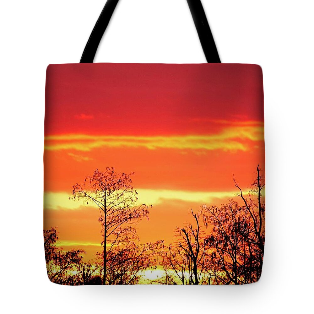 Sunset Tote Bag featuring the photograph Cypress Swamp Sunset 5 by Steve DaPonte