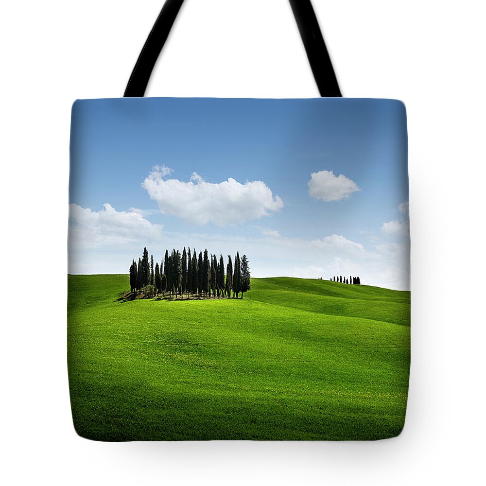 Agriculture Tote Bag featuring the photograph Cypress trees in Tuscany by Francesco Riccardo Iacomino