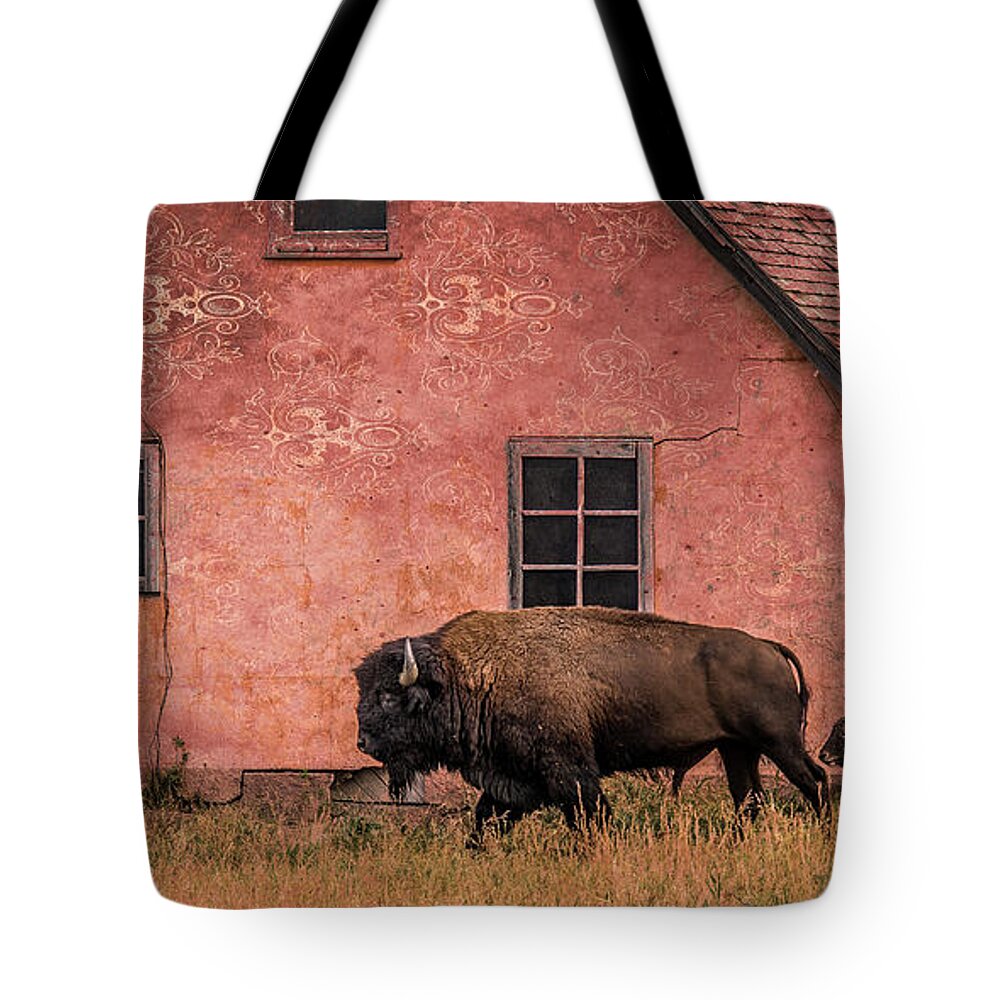 Bison Tote Bag featuring the photograph Daddy's Home by Mary Hone