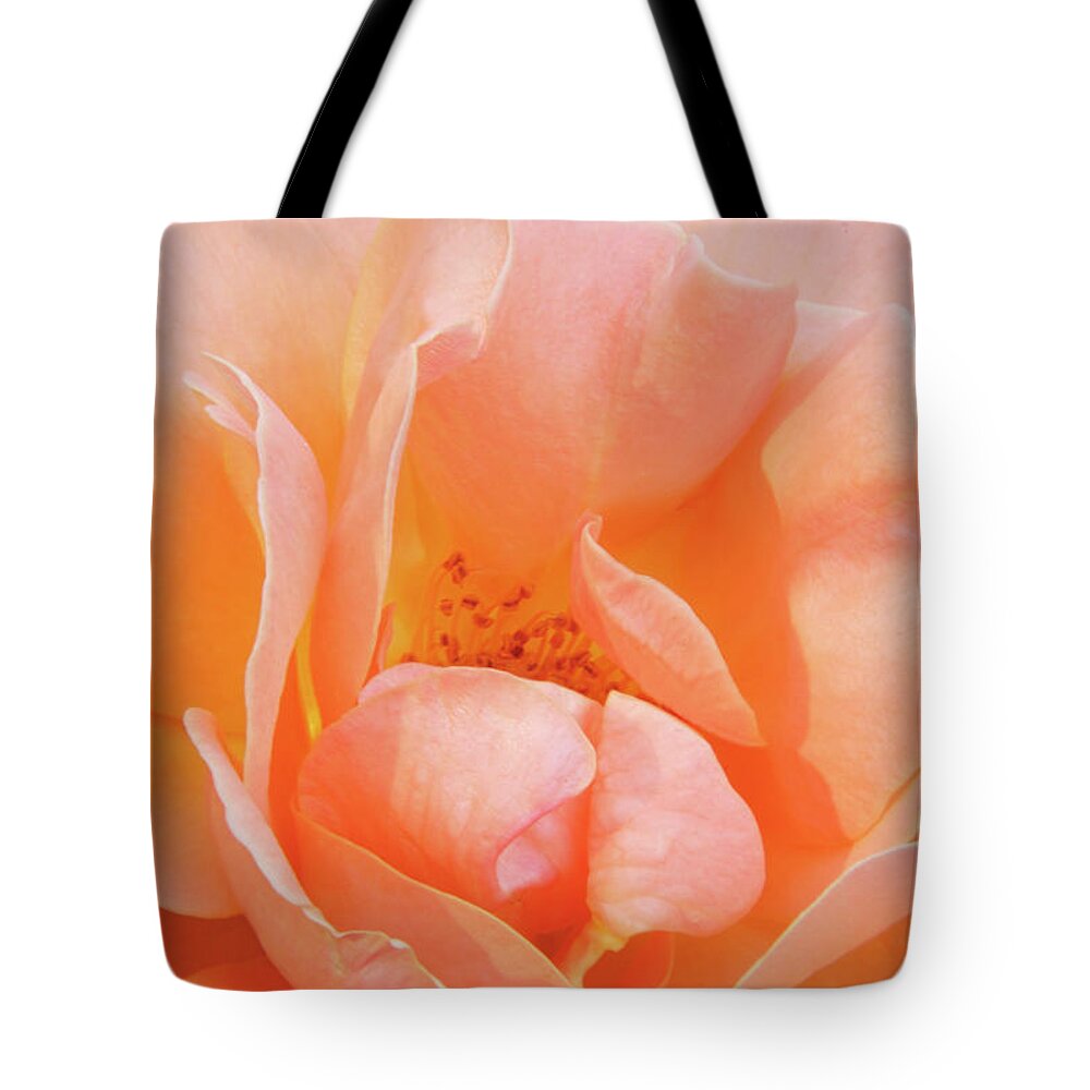 Flowers Tote Bag featuring the photograph Dad's Rose by Minnie Gallman