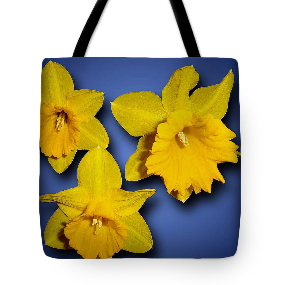 Daffodils Tote Bag featuring the photograph Daffodil Trio by Tara Hutton