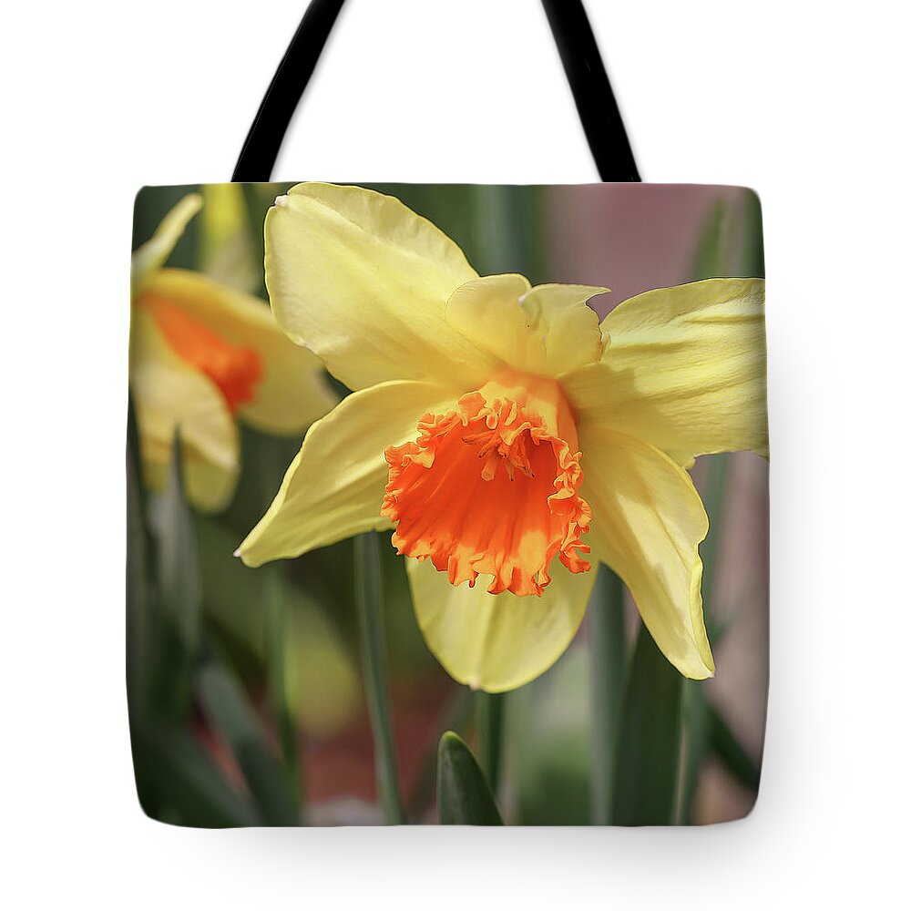 Daffodils Tote Bag featuring the photograph Daffodils by Anna Rumiantseva