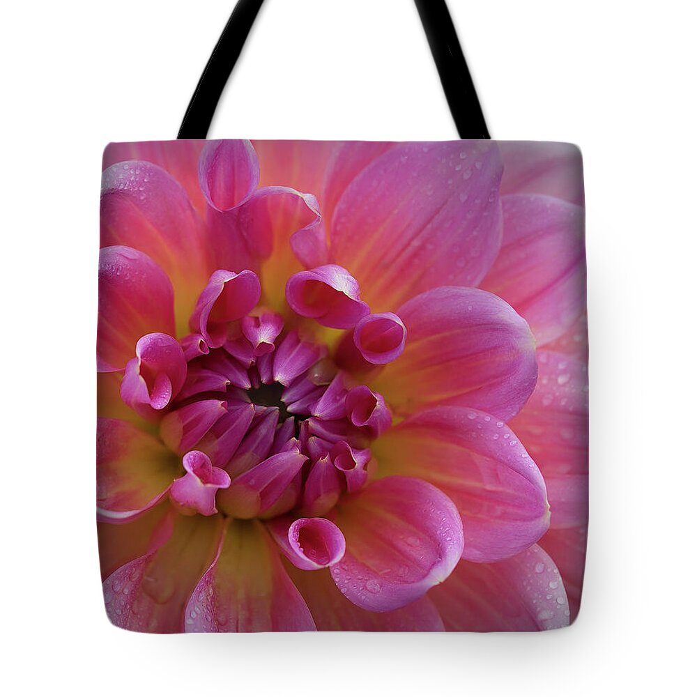 Dahlia Tote Bag featuring the photograph Dahlia Diva by Pat Watson