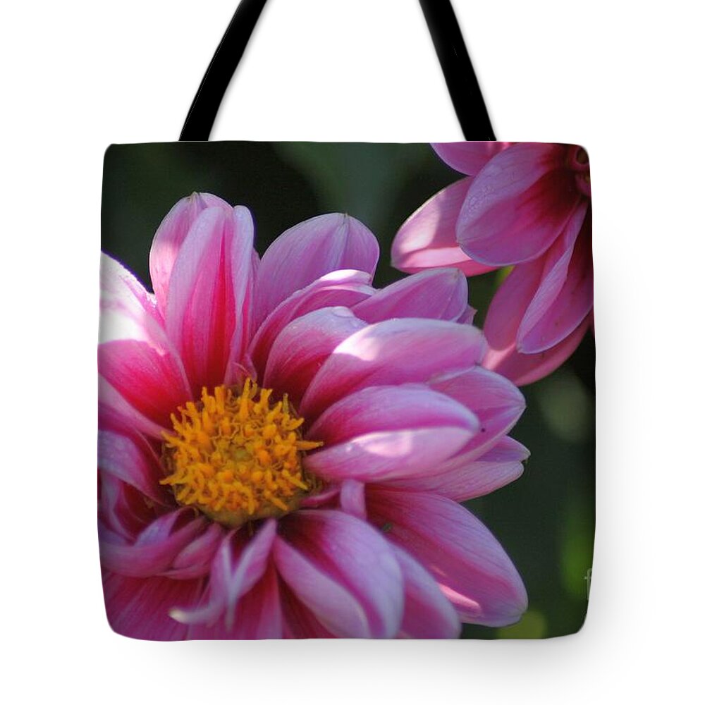 Dahlia Flower Tote Bag featuring the photograph Dahlia Flower 076 by Mrsroadrunner Photography