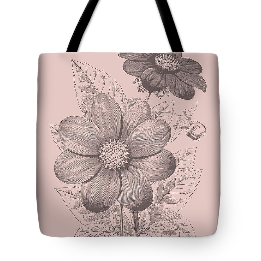 Designs Similar to Dahlias Blush Pink Flower