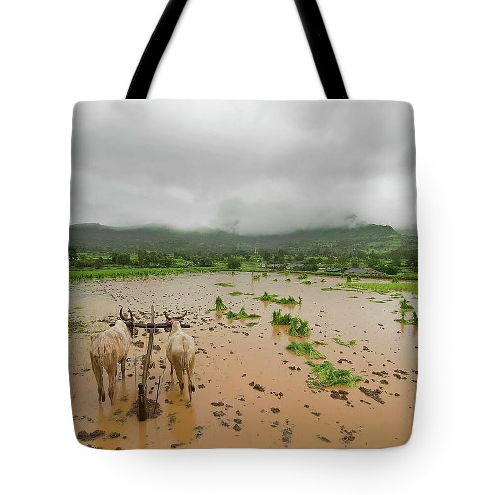 Working Animal Tote Bag featuring the photograph Dahvlya & Pavlya On Auto Pilot Mode by Bhushan Patil Photography