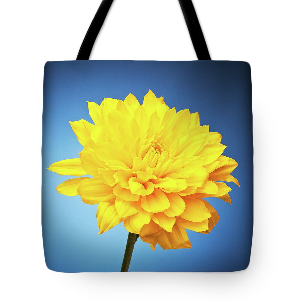 Purity Tote Bag featuring the photograph Daisy Close-up by William Andrew