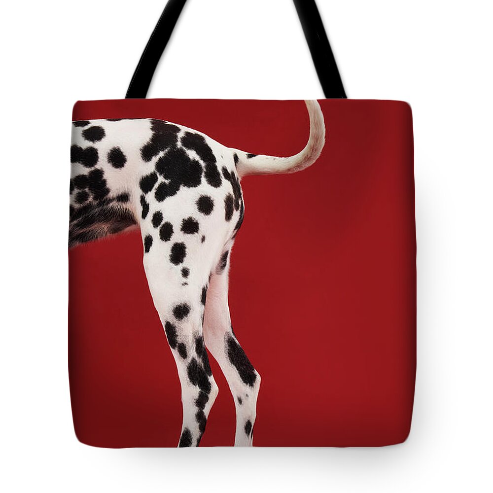 Black Color Tote Bag featuring the photograph Dalmatian Rear by Moodboard