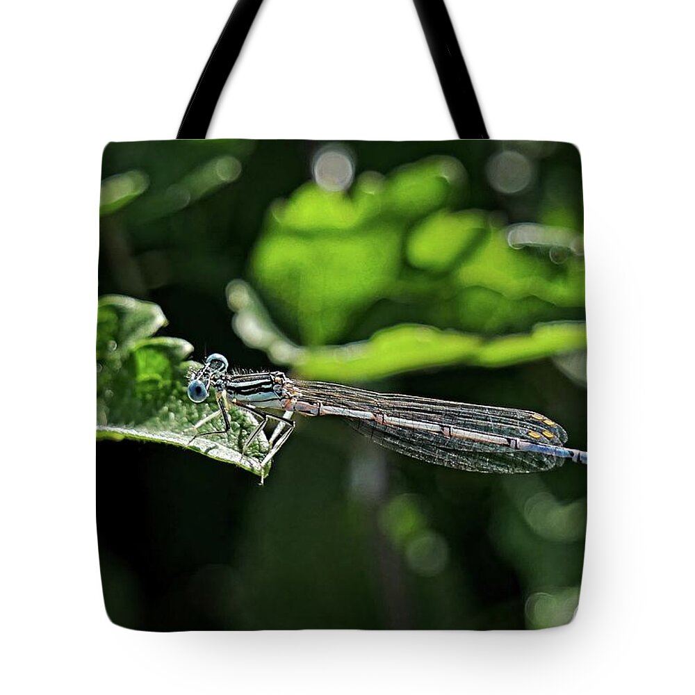 Blue Damsel Fly Tote Bag featuring the photograph Damsel fly by Martin Smith
