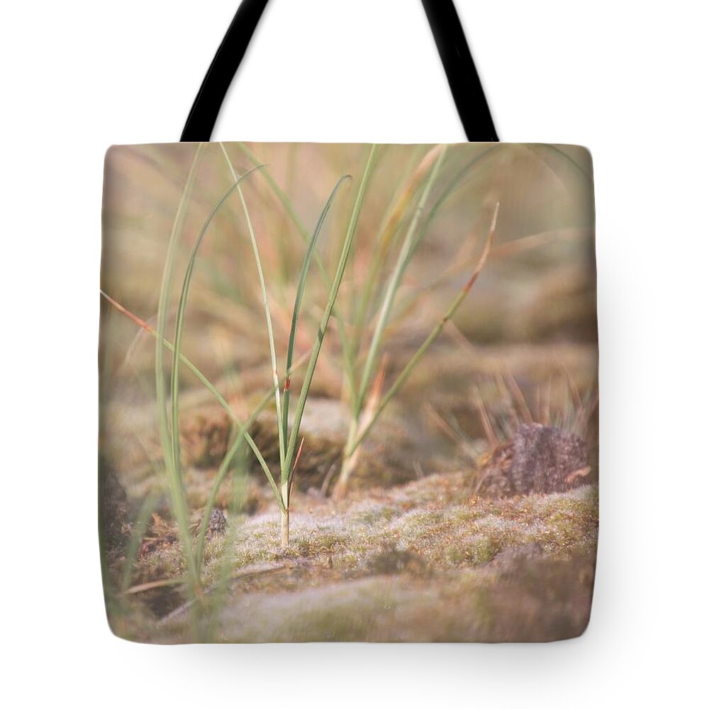 Dancing Tote Bag featuring the photograph Dance in the silent by Jaroslav Buna