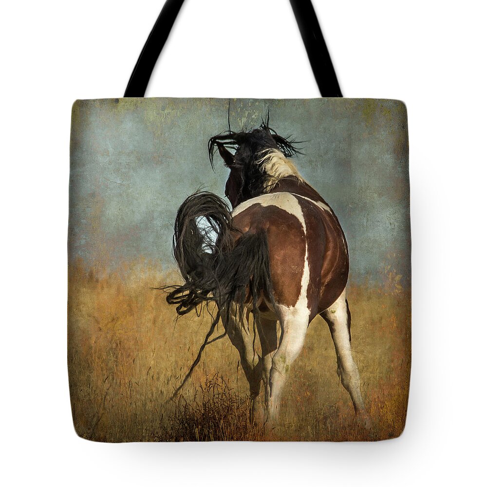 Horse Tote Bag featuring the photograph Dance by Mary Hone